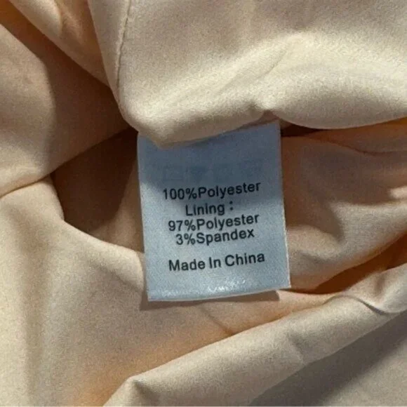 Tuckernuck NEW Champagne Fil Coupe Palmerston Formal Mini Dress Size S - Picture 9 of 10